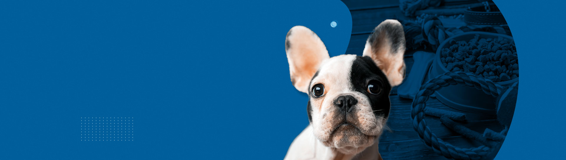 A solução integrada para o seu PetShop ou clínica veterinária